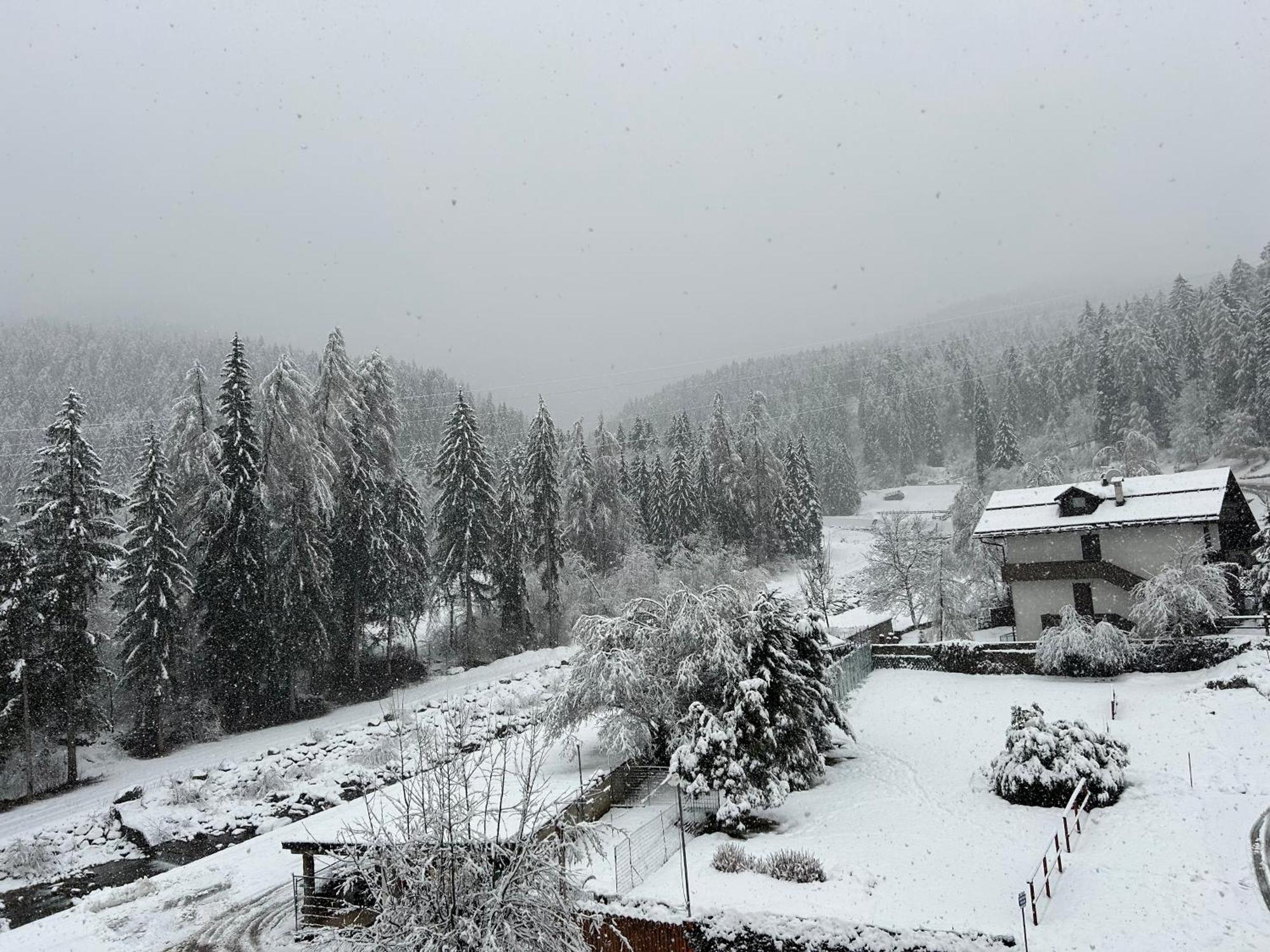 Dolomia &
